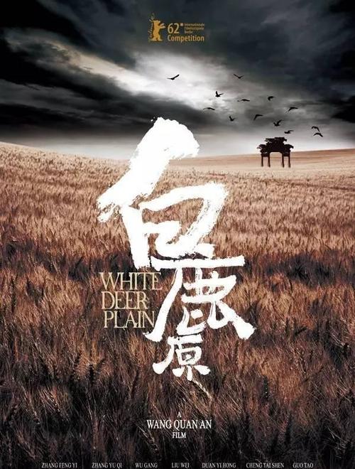 昆士兰驾驶执照怎么买到